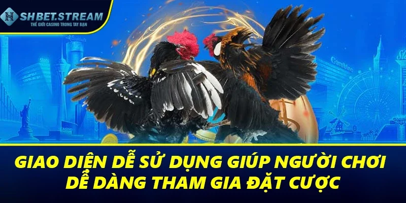 Giao diện dễ sử dụng của SHBET giúp người chơi dễ dàng tham gia đặt cược
