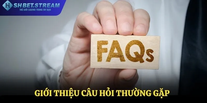 Chuyên mục câu hỏi thường gặp có gì?